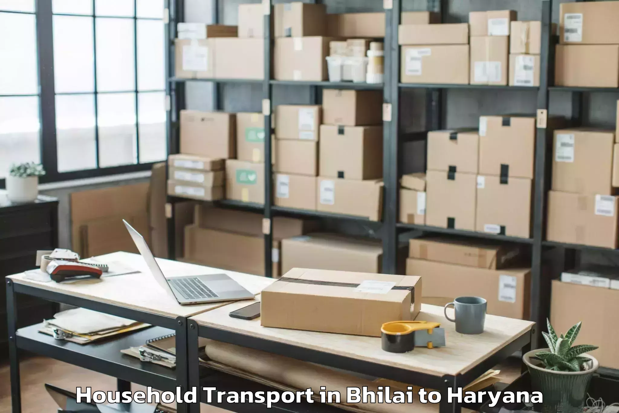 Top Bhilai to Punahana Household Transport Available